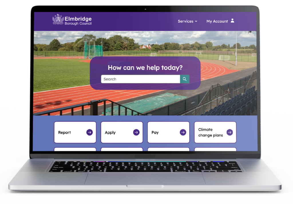 Elmbridge Borough Council website case study